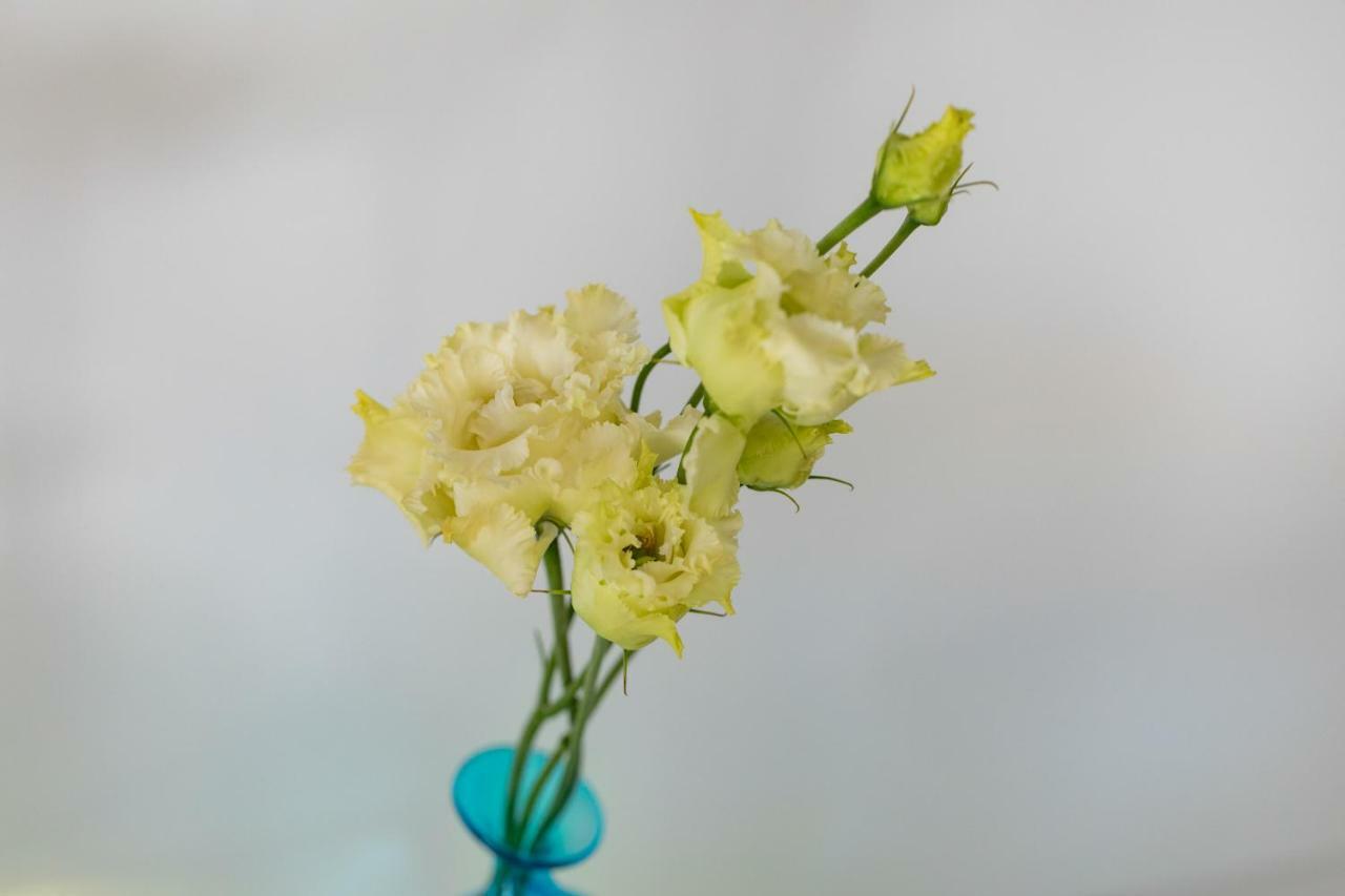 Tulipa Natural Home Mezzolago Εξωτερικό φωτογραφία